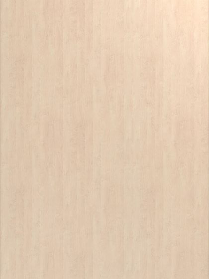White Birch | Wood veneers | UNILIN Division Panels