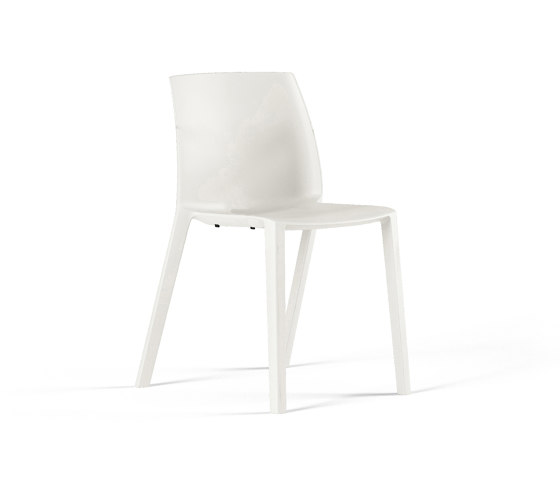 Ador | Chairs | FREZZA