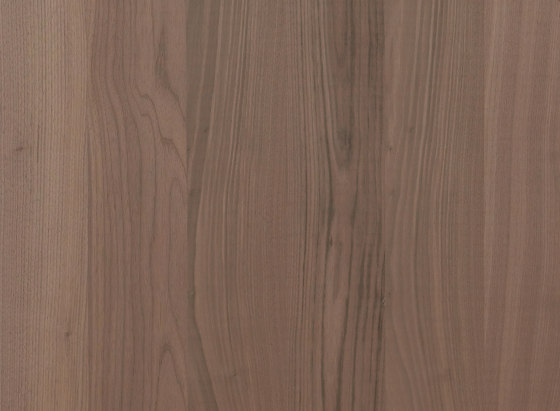 Wooden panels Elements Hardwood | American Walnut | Planchas de madera | Admonter Holzindustrie AG