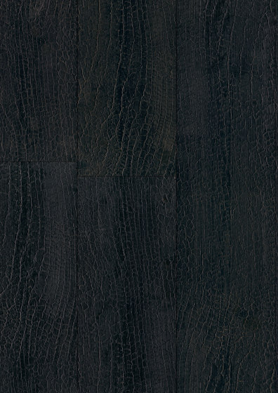 ELEMENTs Galleria GRID noir | Panneaux de bois | Admonter Holzindustrie AG