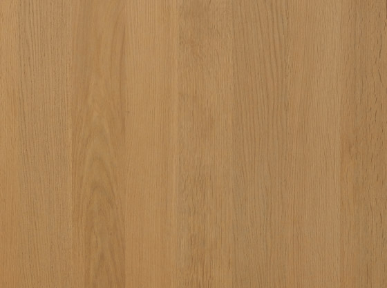 Panneaux en bois Feuillus | Chêne medium | Panneaux de bois | Admonter Holzindustrie AG
