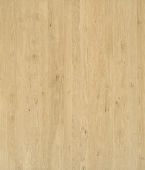 Wooden panels Elements Hardwood | Oak Panels for furniture | Wood panels | Admonter Holzindustrie AG