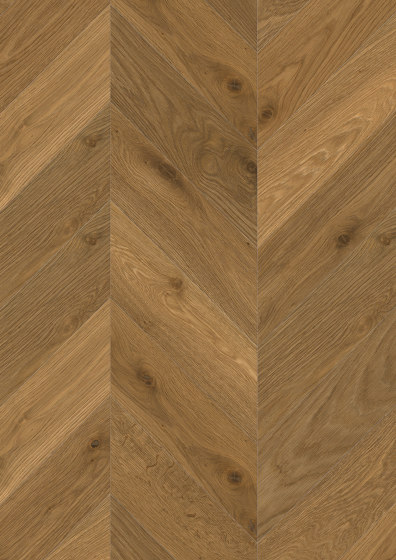 Wooden Floors Oak | Chevron Oak Ignis | Suelos de madera | Admonter Holzindustrie AG