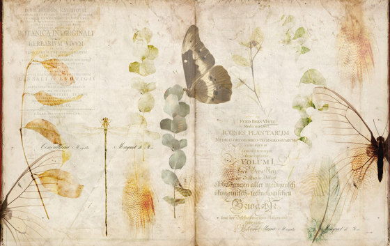 Botanika | Nature Book | Carrelage céramique | Officinarkitettura