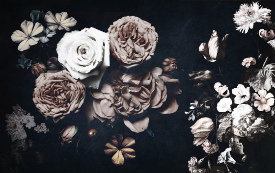 Botanika | Roses | Baldosas de cerámica | Officinarkitettura