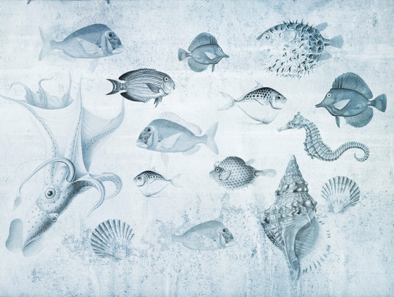 Nature | Aquarium Blu | Keramik Fliesen | Officinarkitettura