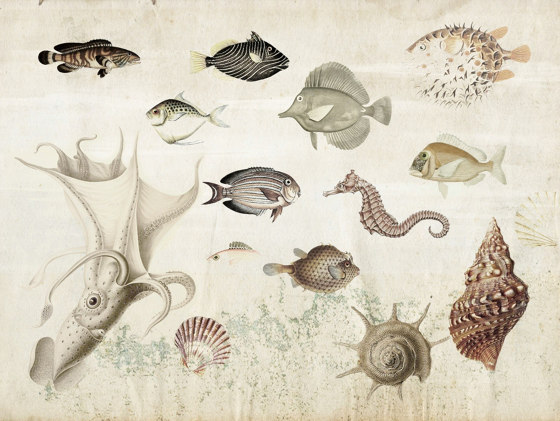 Nature | Aquarium | Piastrelle ceramica | Officinarkitettura