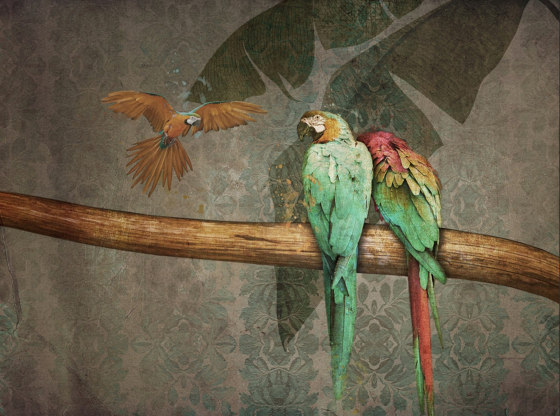 Nature | Parrots | Ceramic tiles | Officinarkitettura