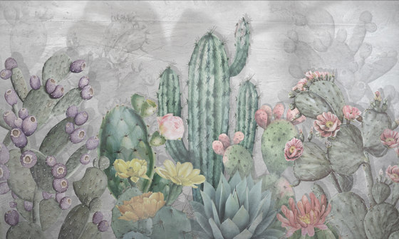 Panorama | Cactus | Keramik Fliesen | Officinarkitettura