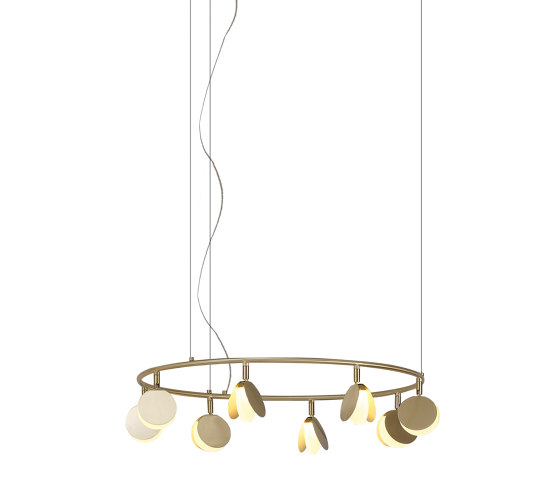 Shell 7261 | Suspensions | MANTRA