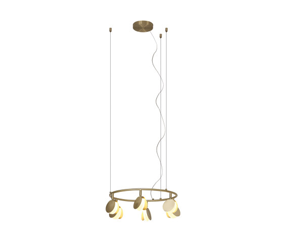 Shell 7262 | Suspended lights | MANTRA