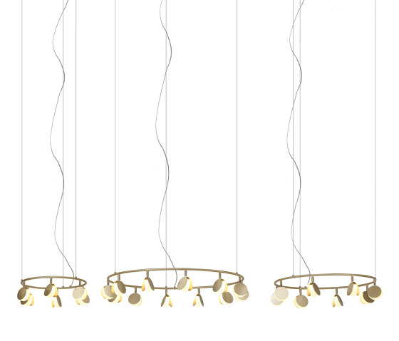 Shell 7355 | Suspended lights | MANTRA