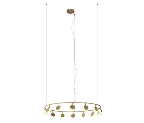 Shell 7357 | Suspended lights | MANTRA