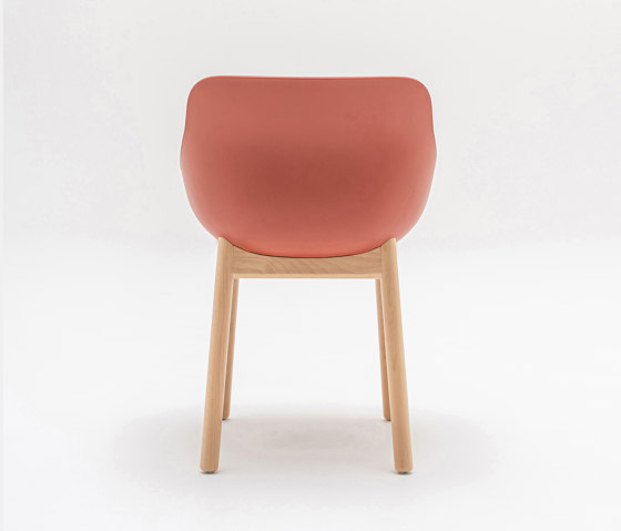 Baltic Basic with wooden base | Chairs | MDD