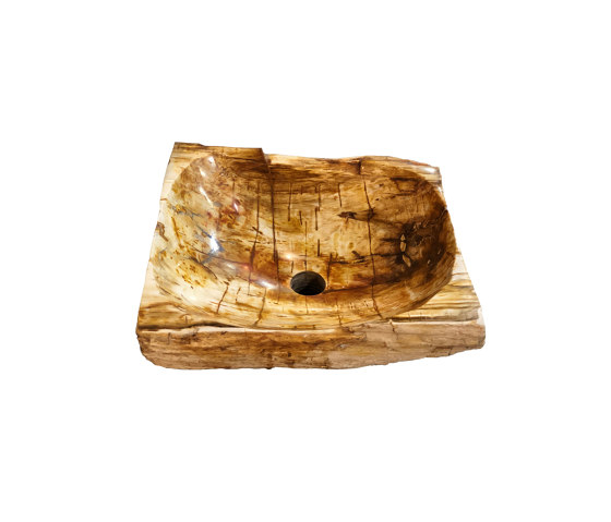 Precious Stone | Quarzo - Petrified Wood Natural Basin | Wash basins | Panorea Home