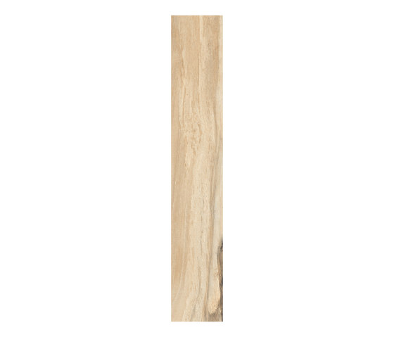 Sherwood Maple | Carrelage céramique | Rondine