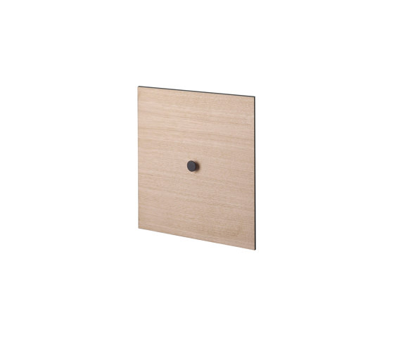 Door for Frame 35, Oak | Shelving | Audo Copenhagen