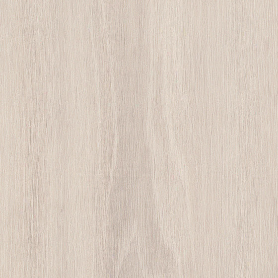 Spacia Woods - 0,55 mm | Iced Oak | Synthetic panels | Amtico