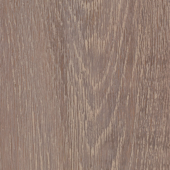 Spacia Woods - 0,55 mm | Carriage Oak | Synthetic panels | Amtico