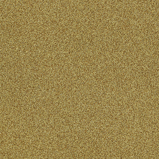 Touch & Tones II 101 4174075 Gold | Carpet tiles | Interface