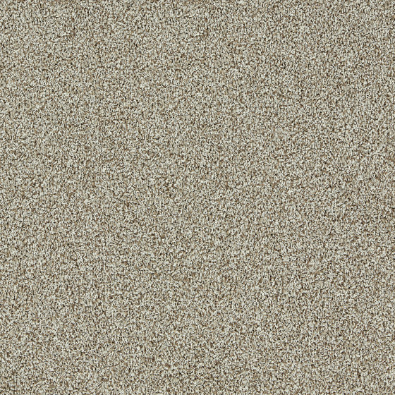 Touch & Tones II 102 4175070 Biscuit | Carpet tiles | Interface