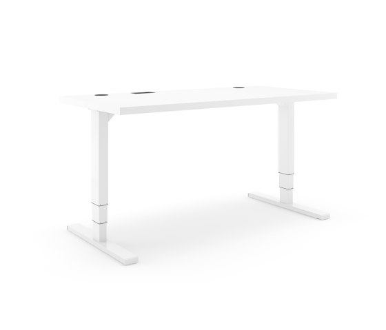 Solid Two | Desks | Actiforce