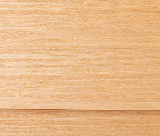 Motobayashi | Cartesia drawer Ash 2 rows | Cabinets | Hiyoshiya