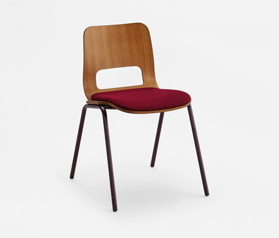 TIPI Stackable Chair 1.35.Z/I | Sillas | Cantarutti