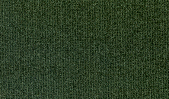 Barolo | Colour Pine 803 | Tessuti decorative | DEKOMA