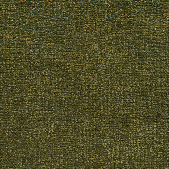 Breve | Colour Pine 45 | Drapery fabrics | DEKOMA