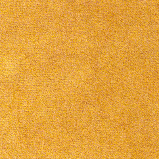 Dusty | Colour Gold 407 | Tissus de décoration | DEKOMA