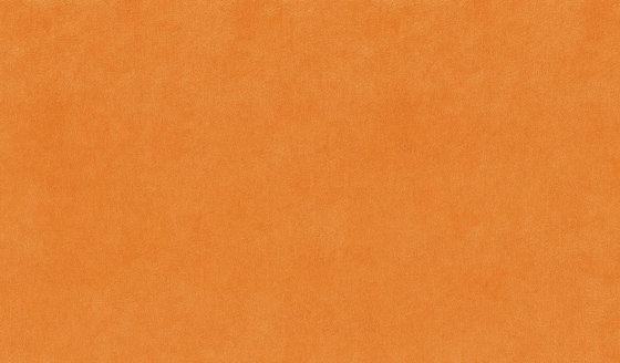 Tivoli | Colour Apricot 23 | Dekorstoffe | DEKOMA