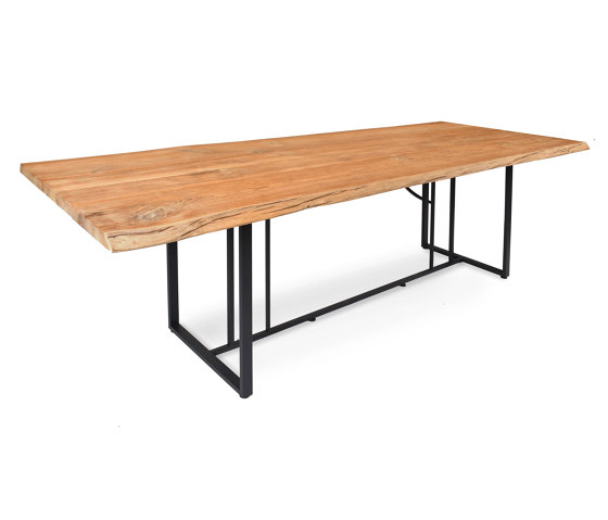 Suite Tisch mit Unikat Teakholzplatte | Esstische | Fischer Möbel