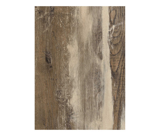Alfa Tops | 24 L | Pannelli per pareti | Alfa Wood Group
