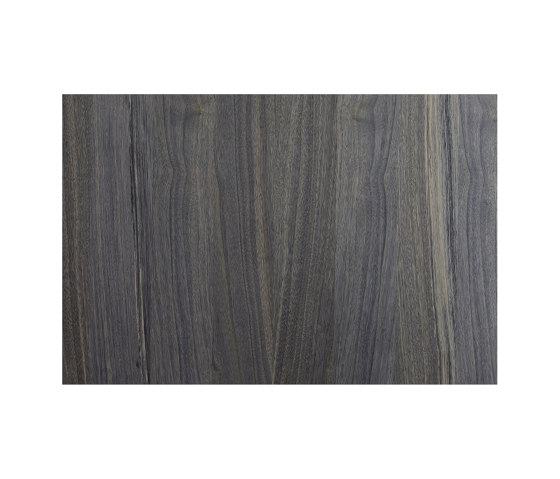 Alfa Xilo | Dark Palm | Panneaux muraux | Alfa Wood Group