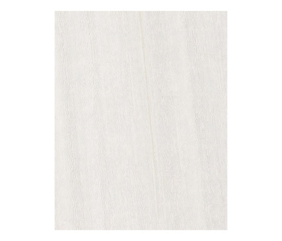 Alfa Xilo | Tay Ivory | Pannelli per pareti | Alfa Wood Group