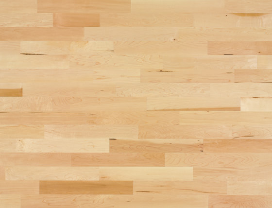 Unopark R+L Maple canadian 15 | Suelos de madera | Bauwerk Parkett