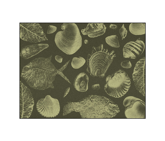 Flossil | FL3.01.1 | 200 x 300 cm | Tapis / Tapis de designers | YO2