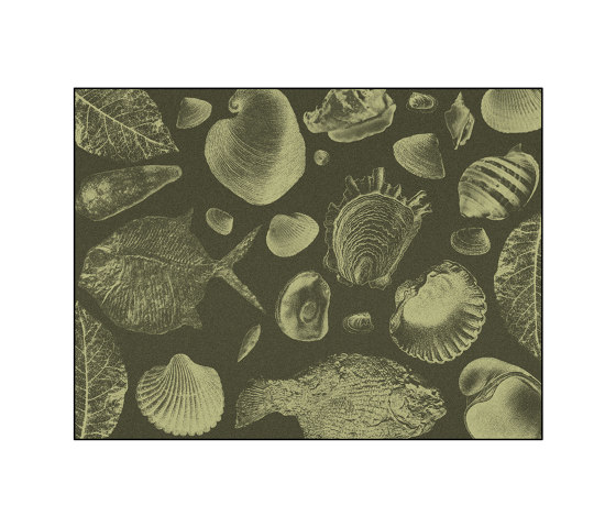 Flossil | FL3.01.1 | 300 x 400 cm | Tappeti / Tappeti design | YO2