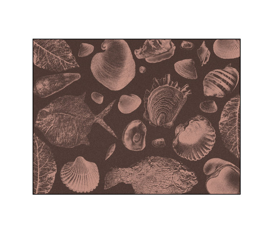 Flossil | FL3.01.2 | 300 x 400 cm | Tappeti / Tappeti design | YO2