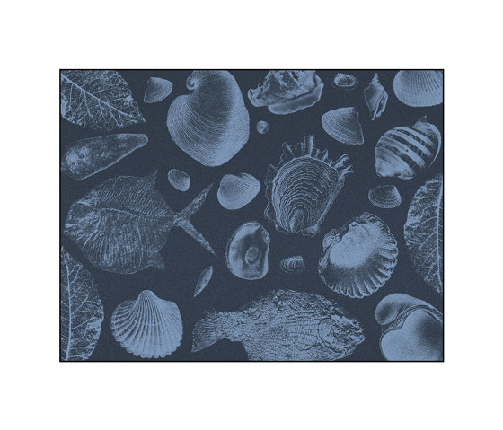 Flossil | FL3.01.3 | 200 x 300 cm | Tappeti / Tappeti design | YO2