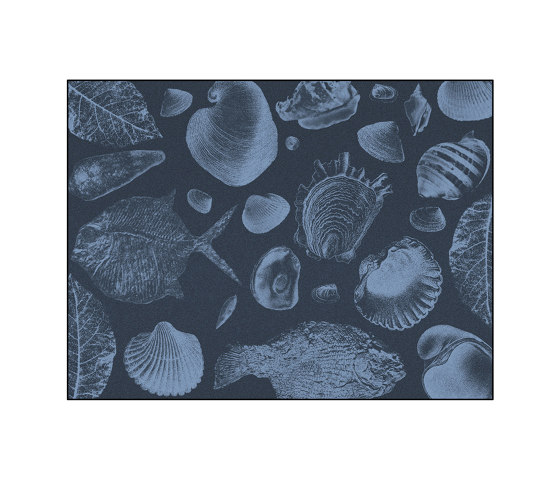 Flossil | FL3.01.3 | 300 x 400 cm | Tappeti / Tappeti design | YO2
