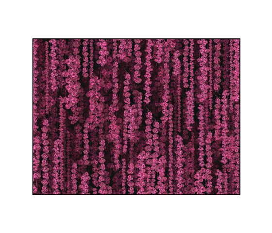 Night Bloom | NB3.01.3 | 300 x 400 cm | Formatteppiche | YO2