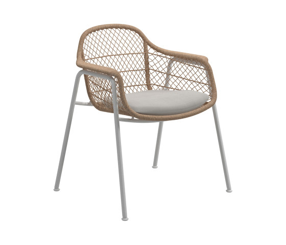 Fresco dining chair | Sillas | Gloster Furniture GmbH
