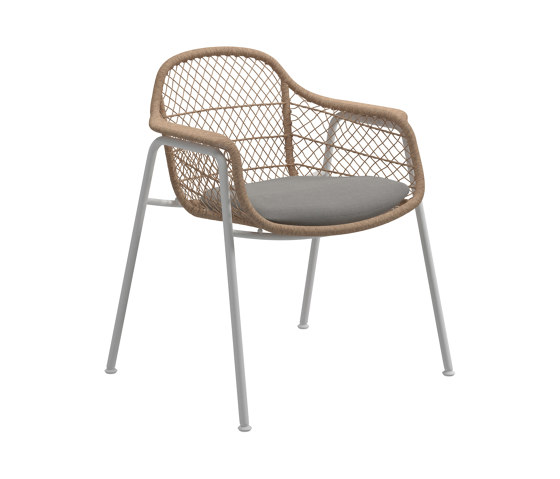Fresco dining chair | Chairs | Gloster Furniture GmbH