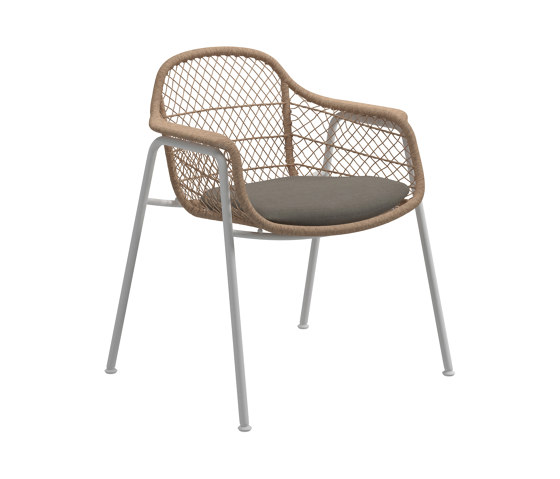 Fresco dining chair | Sillas | Gloster Furniture GmbH