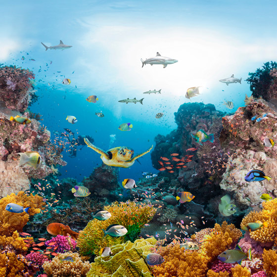 Coral reef | Sols en matière plastique | Beauflor
