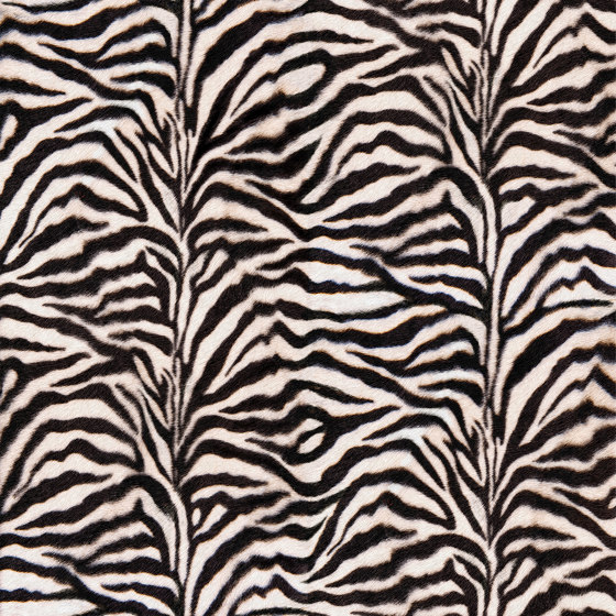 Zebra | Kunststoffböden | Beauflor