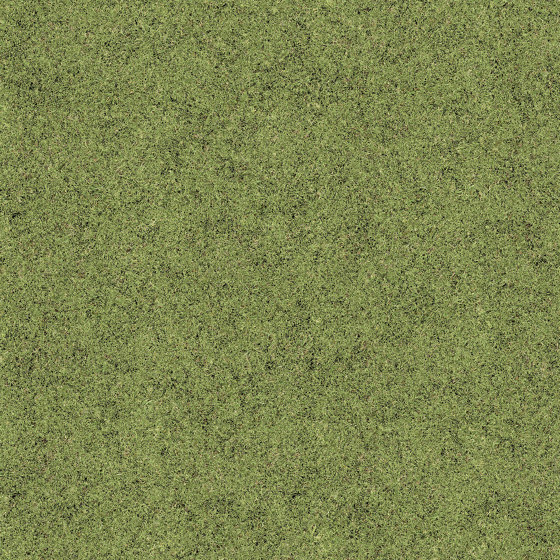 Grass | Pavimenti plastica | Beauflor