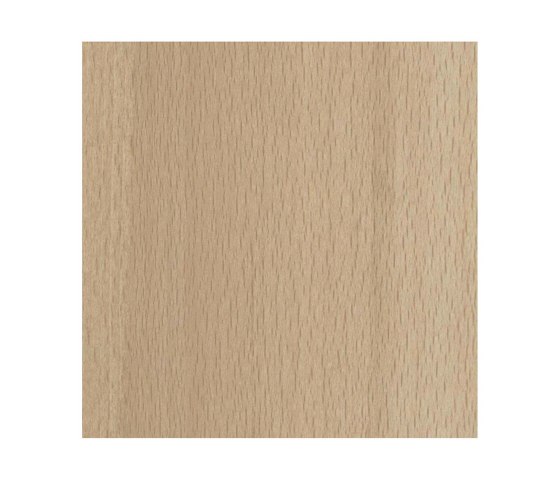 Faggio Scandic chiaro | Pannelli legno | Pfleiderer